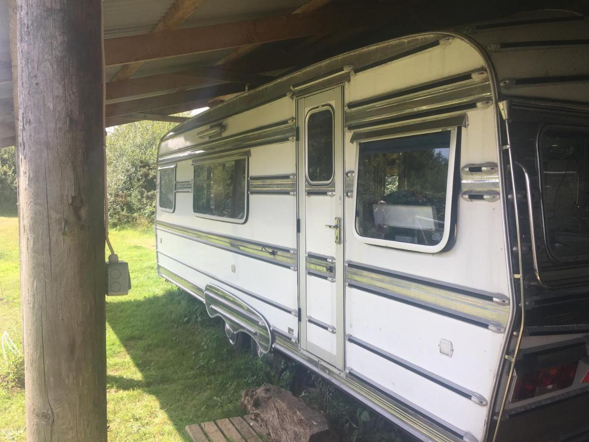 The Quarry Caravan Falmouth Extérieur photo